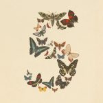 claude fable 5