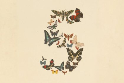 claude fable 5