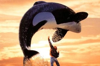 Keiko, l'orque star de Sauvez Willy, en pleine figure au-dessus de son dresseur