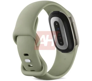 Google fitbit edge vert